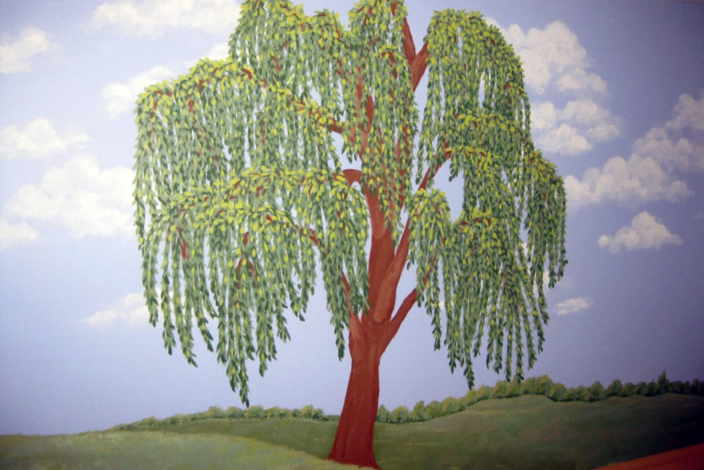 Mural with willow tree.